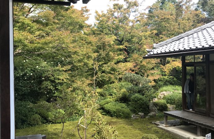 源光庵の春夏秋冬・紅葉と青もみじが素晴らしい