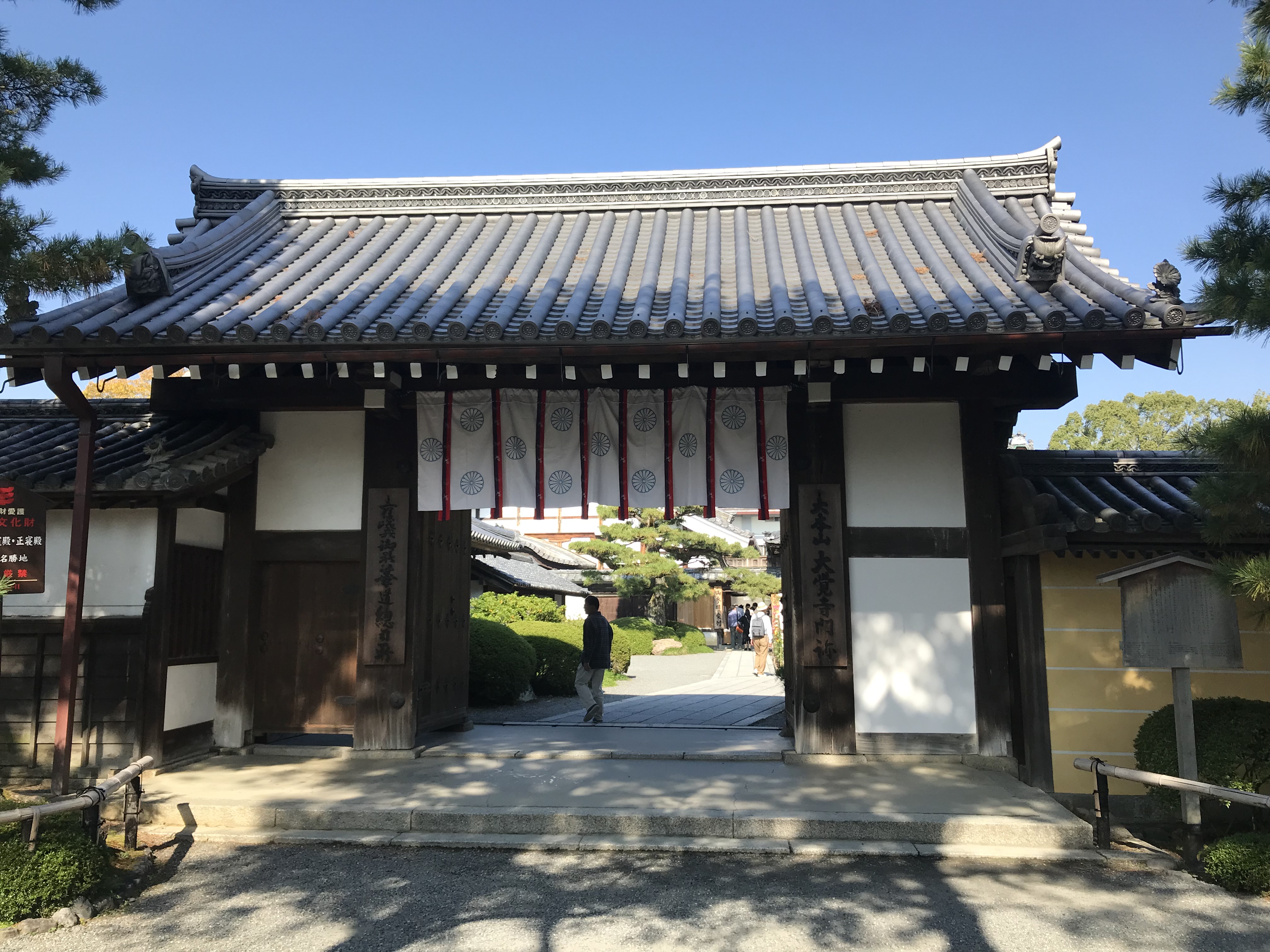 大覚寺の見どころは回廊から眺める紅葉と右近橘 左近梅 京都きもの巡り