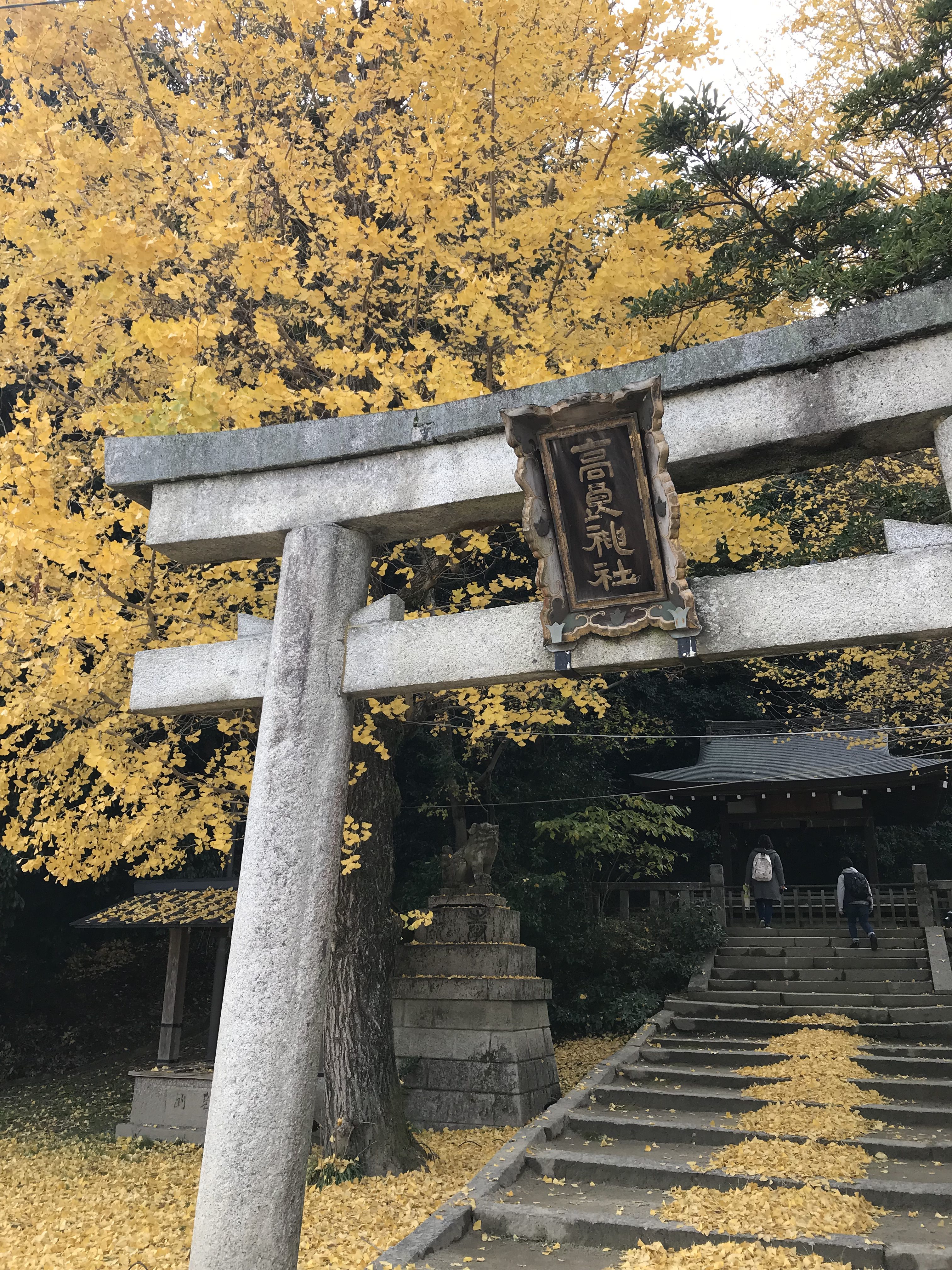 石清水八幡宮と間違い高良神社に参拝した徒然草の仁和寺僧 京都きもの巡り